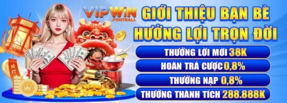 Vipwin football cover