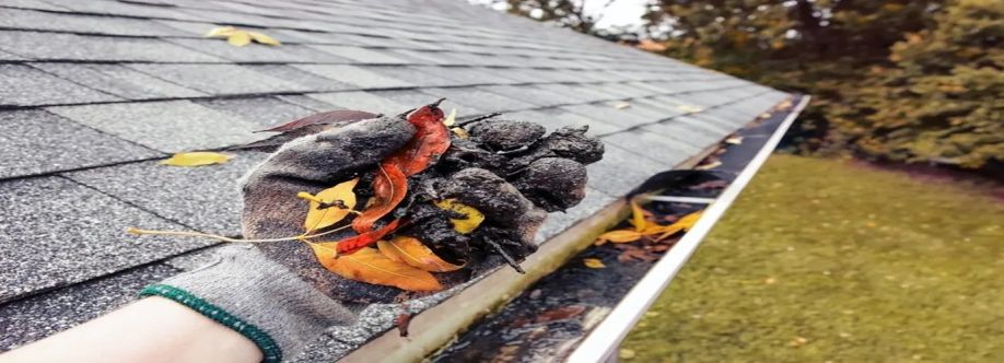 Regal Gutter Cleaning Geelong cover