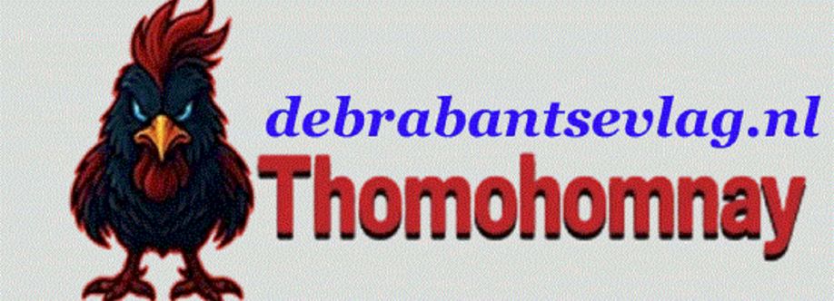 THOMOHOMNAY deb cover
