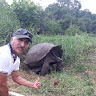 PABLO PINO Profile Picture