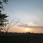 Shahid Sial Profile Picture