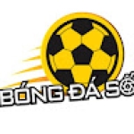 Nhà cái Bóng Đá Số Profile Picture
