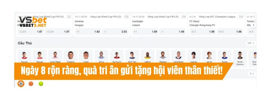 vsbet3 nett cover