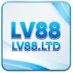 LV88 Profile Picture