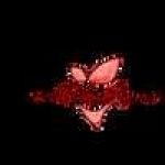 Blush And Lace Profile Picture