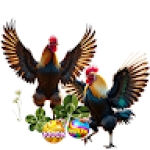 naga5000 shop Profile Picture