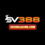SV388 Profile Picture