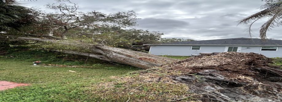 Tree Squad Removal LLC cover