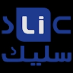 Slic Store