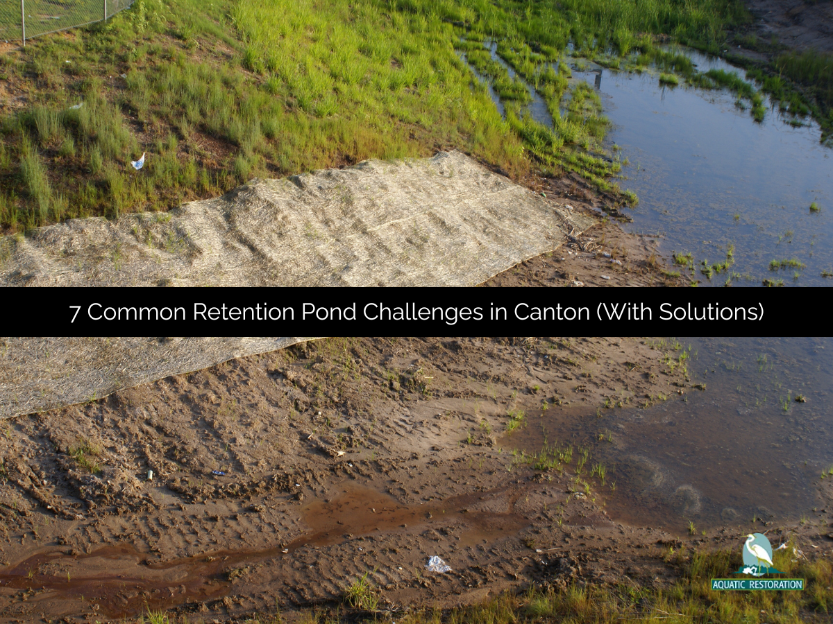 7 Common Retention Pond Challenges in Canton (With Solutions) | Medium
