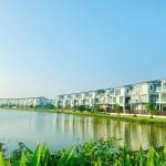 Following profile image