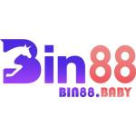 BIN88 Bet