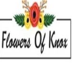 Flowers Of Knox Profile Picture
