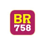 br758 Vincent Profile Picture