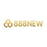 888NEW Profile Picture