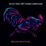 ĐÁ GÀ TRỰC TIẾP THOMO HÔM NAY