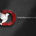 digisky expert Profile Picture