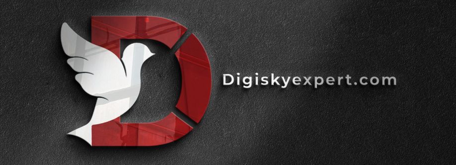 digisky expert cover