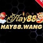 hay88 wang Profile Picture