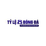 Tylebongdatructuyen org Profile Picture