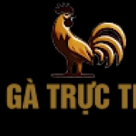 Following profile image
