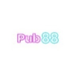 pub88 win