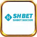 Shbet Bet Profile Picture