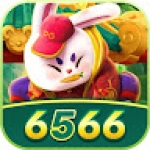 6566