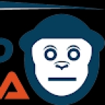Following profile image