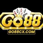 GO 88 Profile Picture