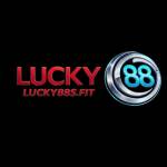 Lucky88s fit