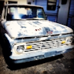 William Green Profile Picture