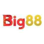 BIG88 Trang Chủ Chính Thức Profile Picture