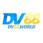 DV 88 Profile Picture