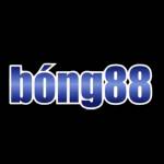 Link BONG88 Link vào nhà cái Profile Picture