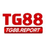 TG 88