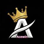 acewin acewin Profile Picture