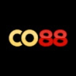 CO88 Vin Profile Picture