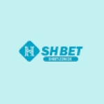 Shbet com de Profile Picture