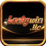 Luckywin llc