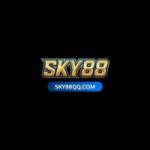 SKY88 qqcom Profile Picture