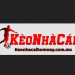 Following profile image