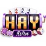 Haywin Profile Picture