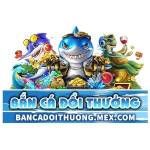 Bắn Cá Đổi Thưởng Profile Picture