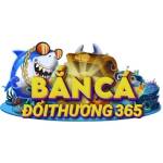 Bắn Cá Đổi Thưởng Profile Picture