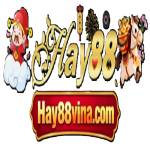 HAY88 VINA Profile Picture