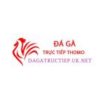 Đá Gà Trực Tiếp Profile Picture