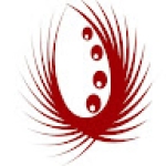 Following profile image