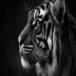 Following profile image