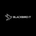 Black Birdit Profile Picture